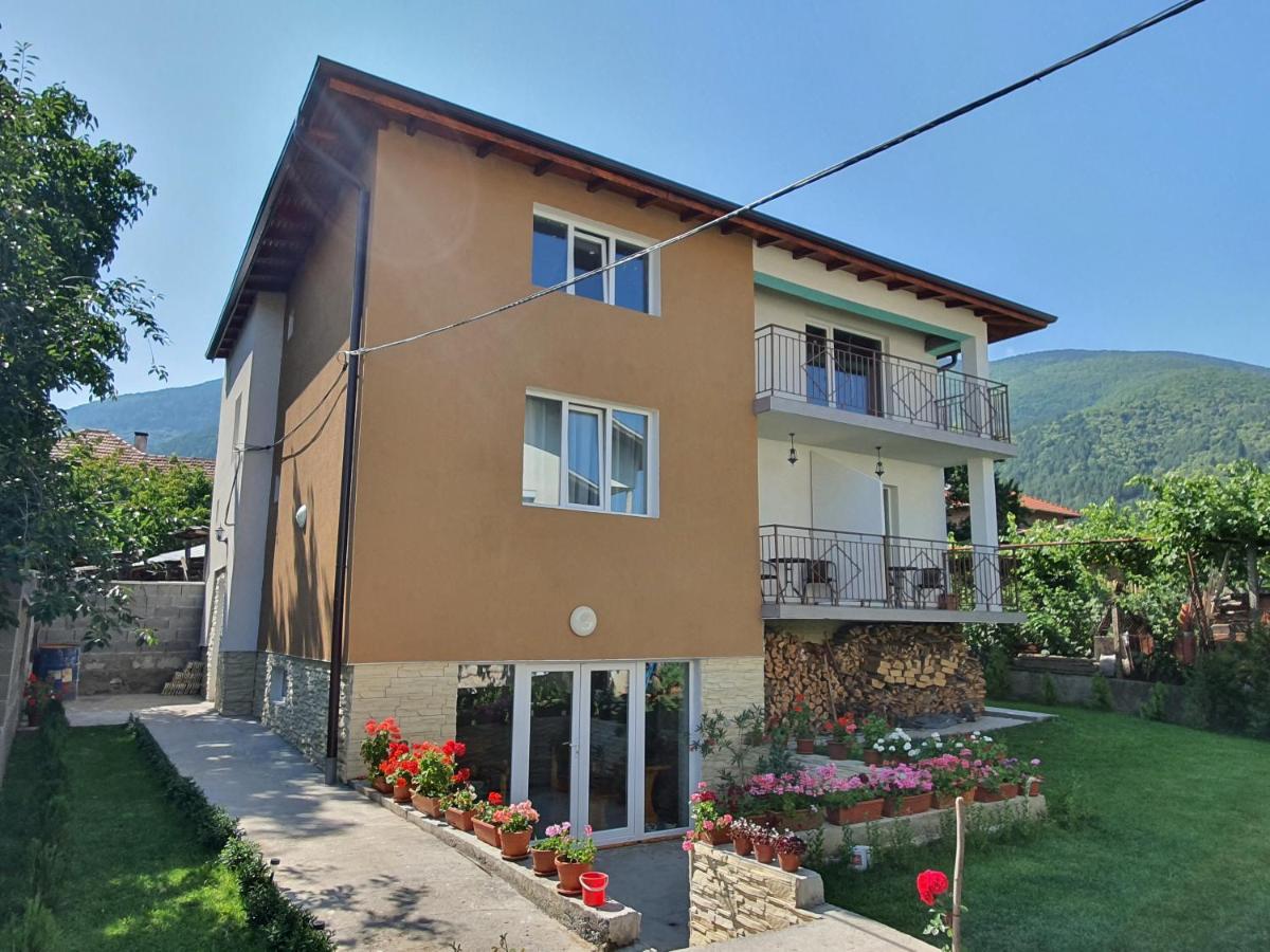 Дамяновата Къща Hotel Sapareva Banya Exterior photo
